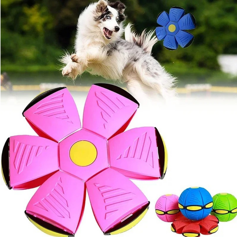 Bola de disco voador para crianças e cães