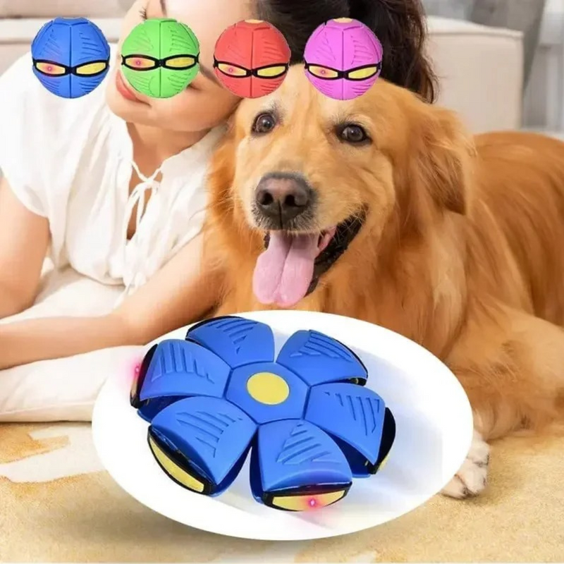 Bola de disco voador para crianças e cães